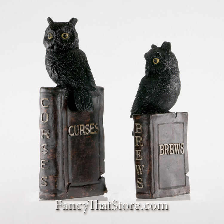 Owls on the Book of Afflictions Set of 2