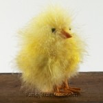 Feathered Chicks Set of 4